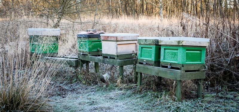 The apiary in winter ...