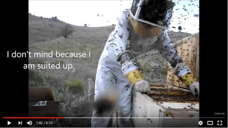 Beekeeping should be enjoyable ...