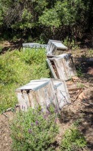 Derelict Spanish apiary