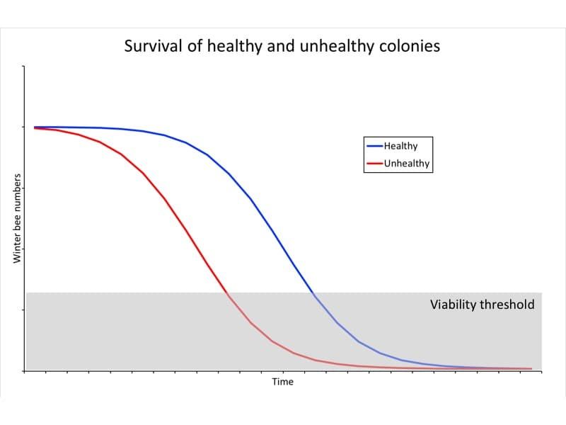 Winter bee numbers in healthy (blue) and unhealthy (red) colonies