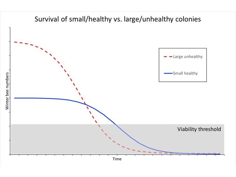 Strong unhealthy colonies might survive less well than weak healthy colonies.