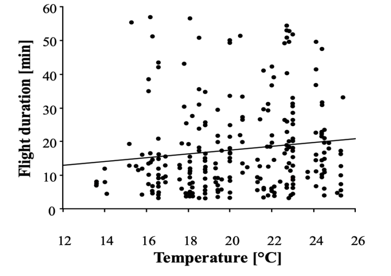 Queen mating flights