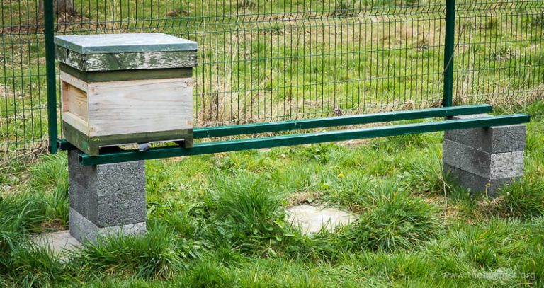 The ultimate hive stand?