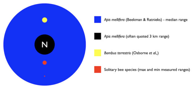 World Bee Day ... save the bees!